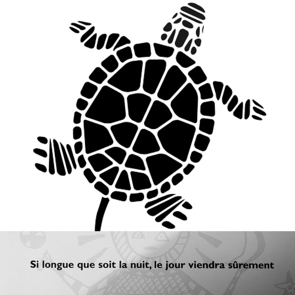 14. Sage tortue